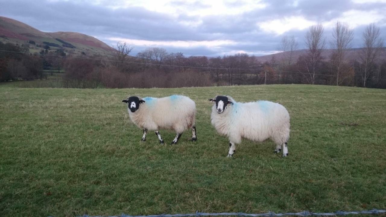 La'Al Yam Villa Sedbergh Luaran gambar